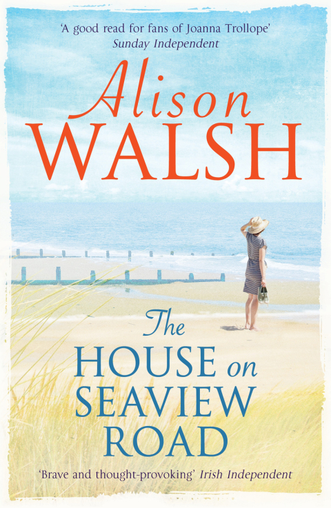 Cover image for book The House on Seaview Road