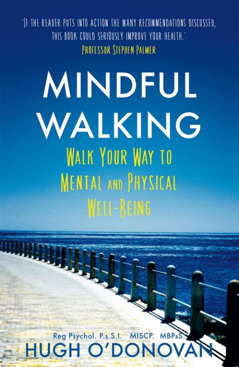 Cover image for book Mindful Walking