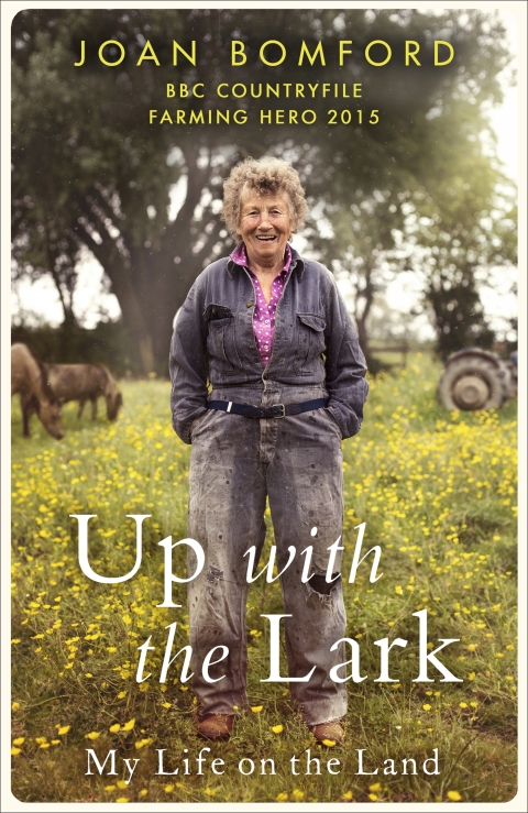 Cover image for book Up With The Lark