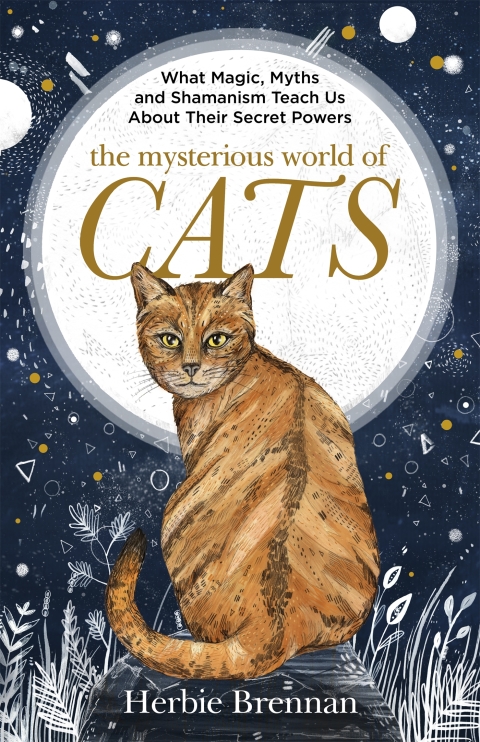 Cover image for book The Mysterious World of Cats