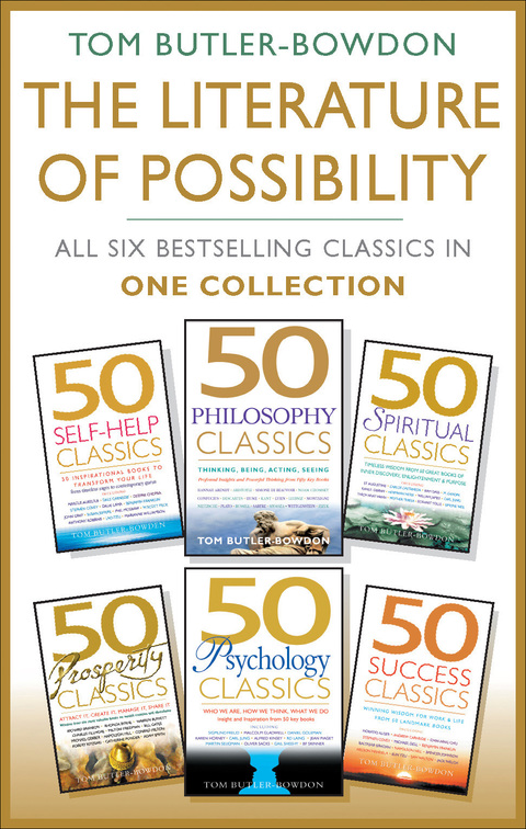 Cover image for book The Literature of Possibility