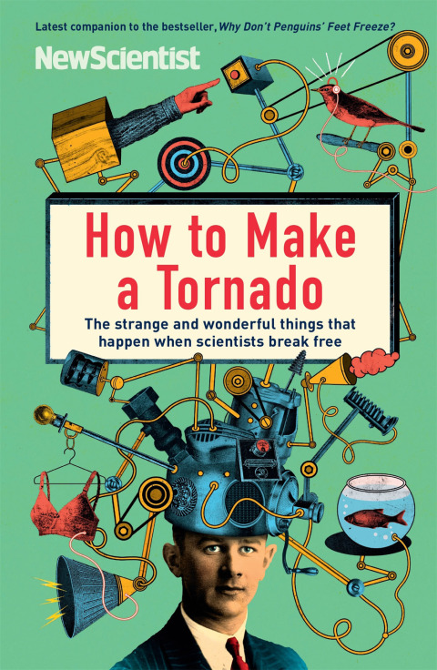 Cover image for book How to Make a Tornado