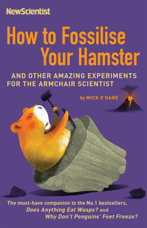 Cover image for book How to Fossilise Your Hamster