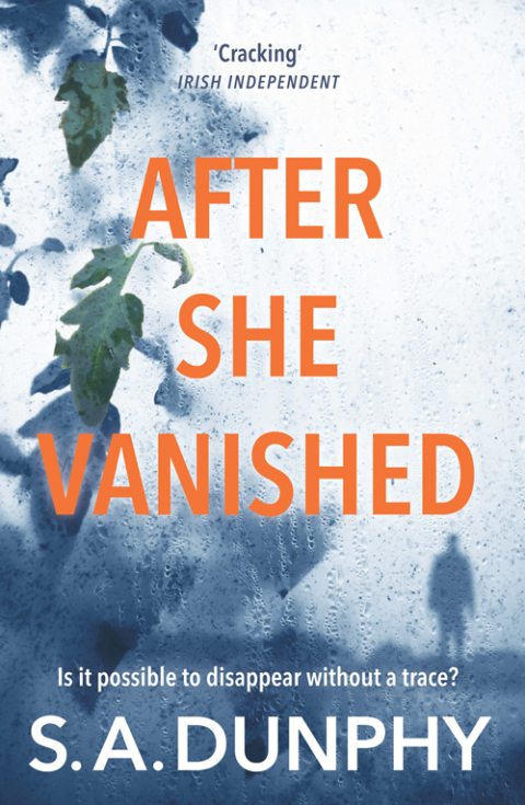 Cover image for book After She Vanished