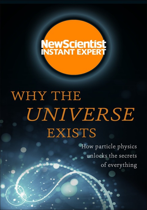 Cover image for book Why the Universe Exists