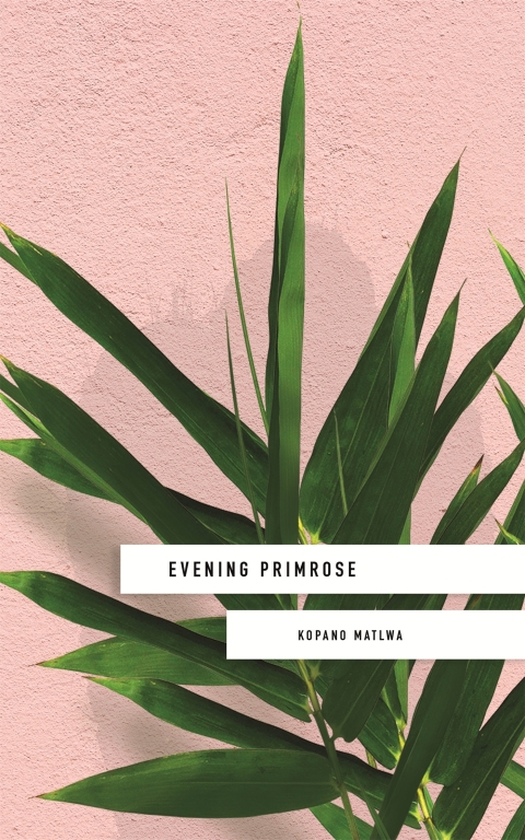 Cover image for book Evening Primrose: a heart-wrenching novel for our times