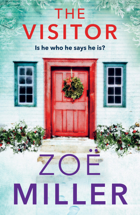 Cover image for book The Visitor