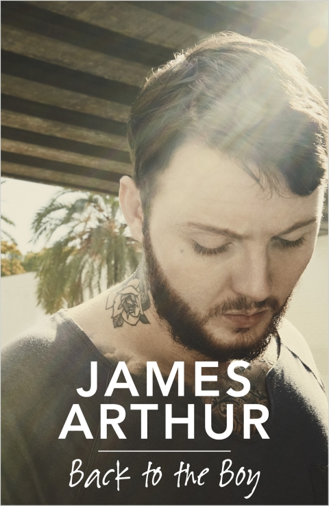 Cover image for book Back to the Boy