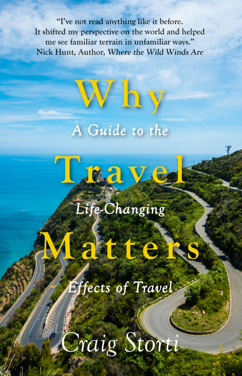Cover image for book Why Travel Matters