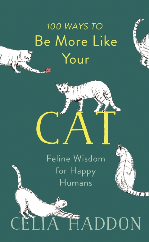 Cover image for book 100 Ways to Be More Like Your Cat