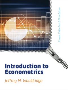 INTRODUCTORY ECONOMETRICS