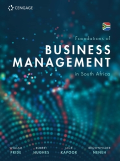 PRINCIPLES OF BUSINESS MANAGEMENT IN SA