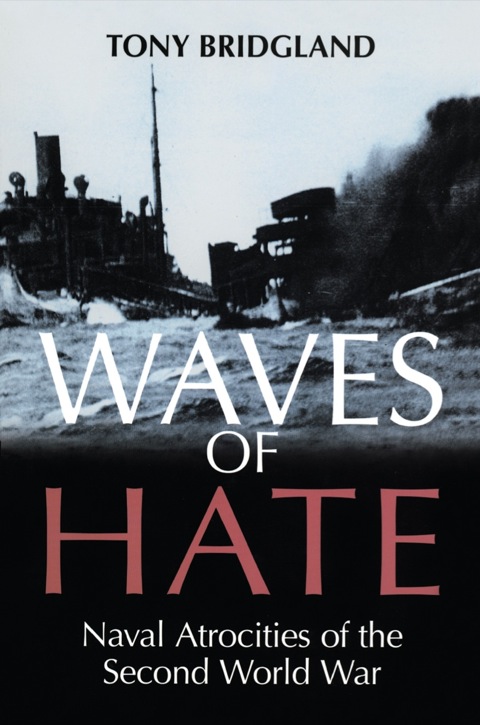 Cover image for book Waves of Hate