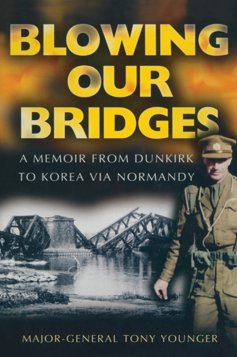 Cover image for book Blowing Our Bridges
