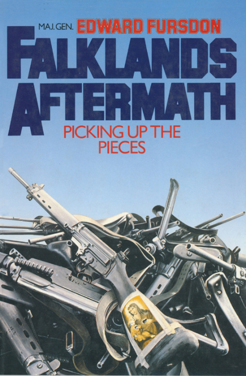 Cover image for book Falklands Aftermath