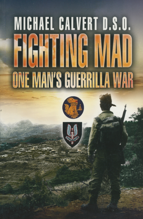 Cover image for book Fighting Mad