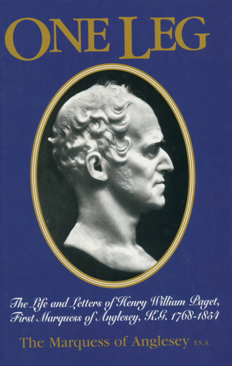 Cover image for book One Leg