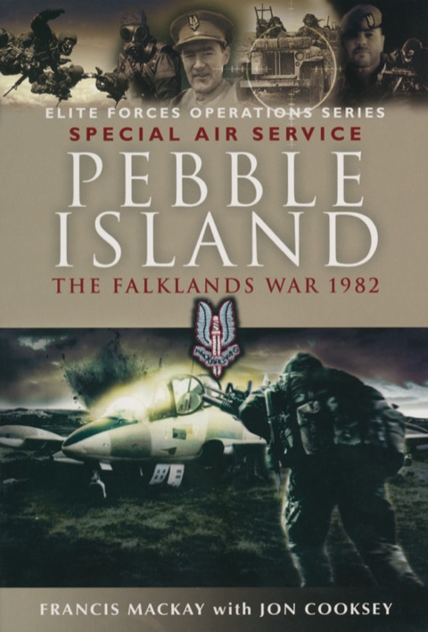 Cover image for book Pebble Island: The Falklands War 1982