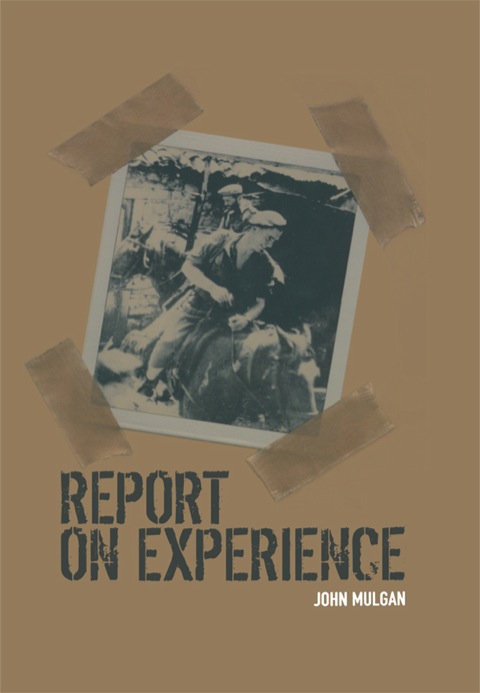 Cover image for book Report on Experience