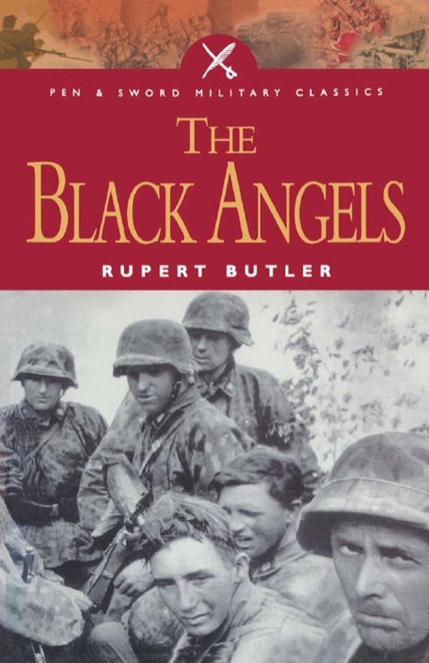 Cover image for book The Black Angels