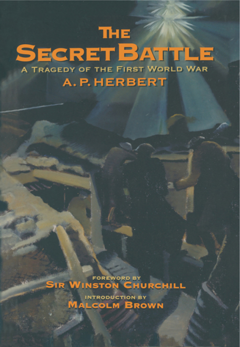Cover image for book The Secret Battle