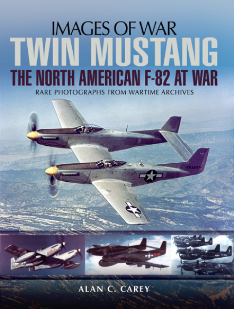 Cover image for book Twin Mustang