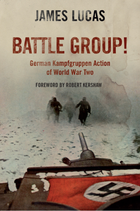 Cover image for book Battle Group!