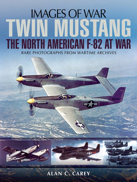 Cover image for book Twin Mustang