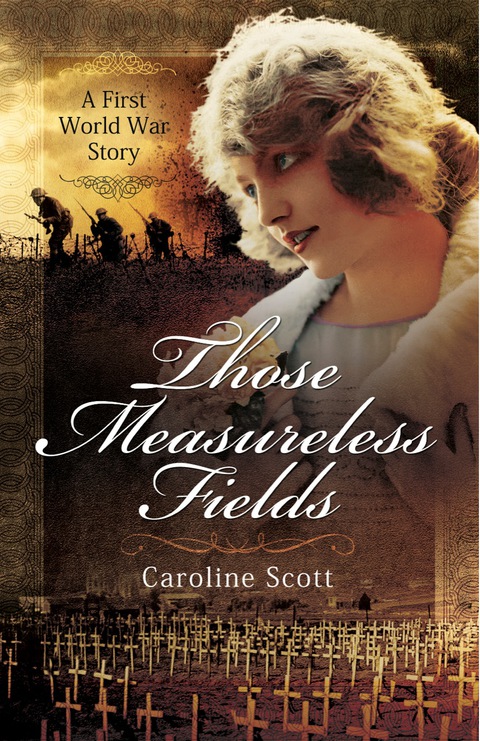 Cover image for book Those Measureless Fields: A First World War Story