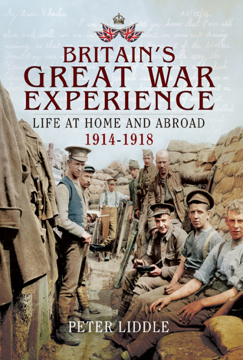 Cover image for book Britain's Great War Experience