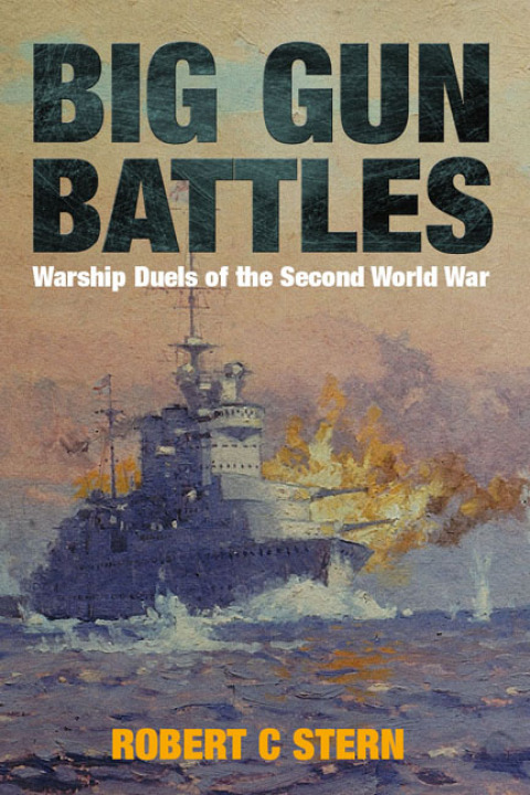 Cover image for book Big Gun Battles