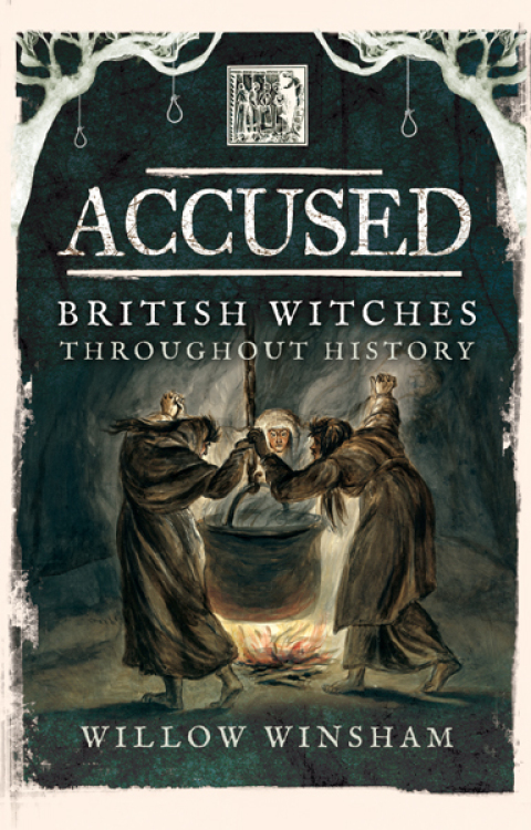 Cover image for book Accused