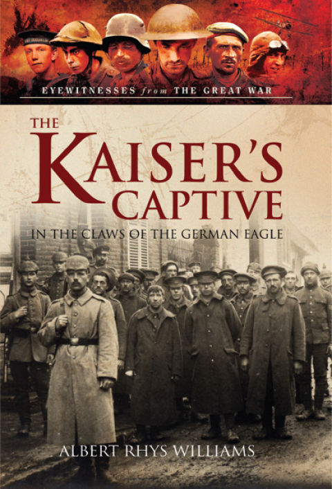 Cover image for book The Kaiser's Captive