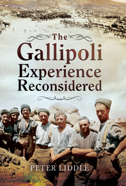 Cover image for book The Gallipoli Experience Reconsidered