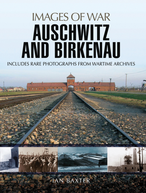 Cover image for book Auschwitz and Birkenau
