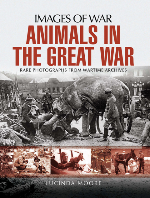 Cover image for book Animals in the Great War