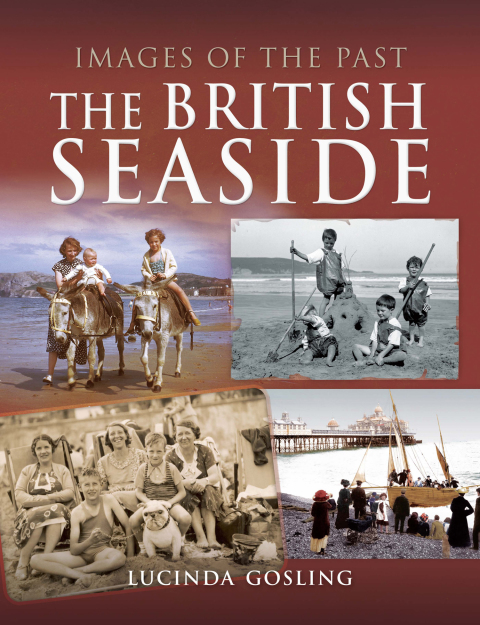 Cover image for book The British Seaside