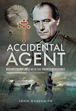 Accidental Agent