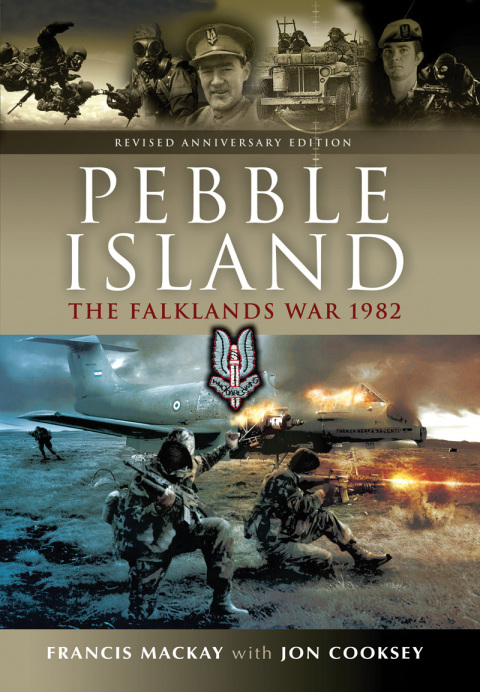 Cover image for book Pebble Island