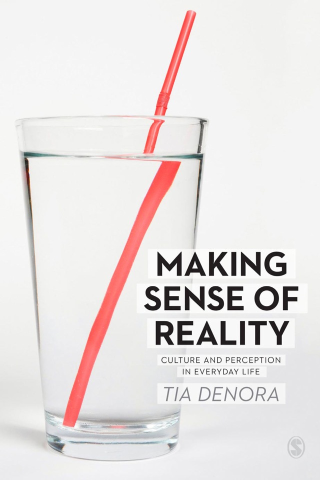 Making Sense of Reality Culture and Perception in Everyday Life