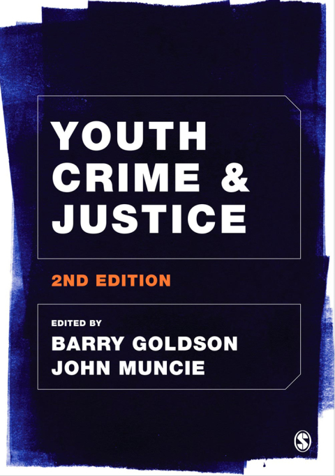 Cover image for book Youth Crime and Justice