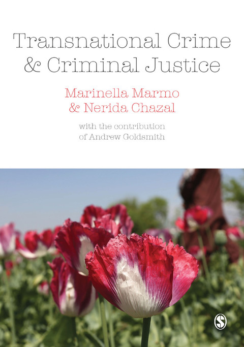Cover image for book Transnational Crime and Criminal Justice