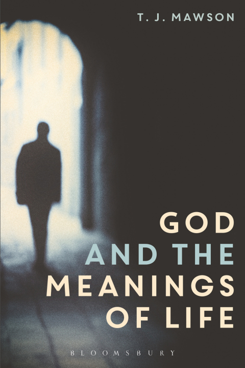 Cover image for book God and the Meanings of Life