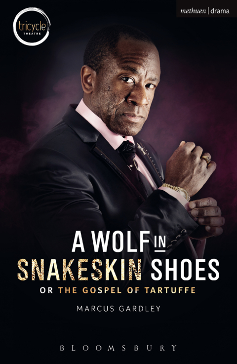 Cover image for book A Wolf in Snakeskin Shoes