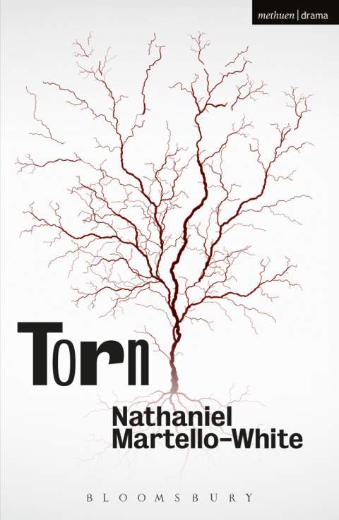 Cover image for book Torn