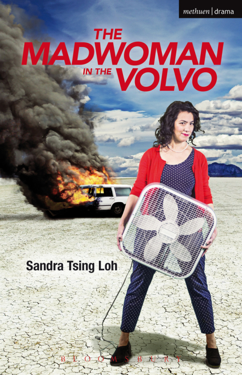 Cover image for book The Madwoman in the Volvo