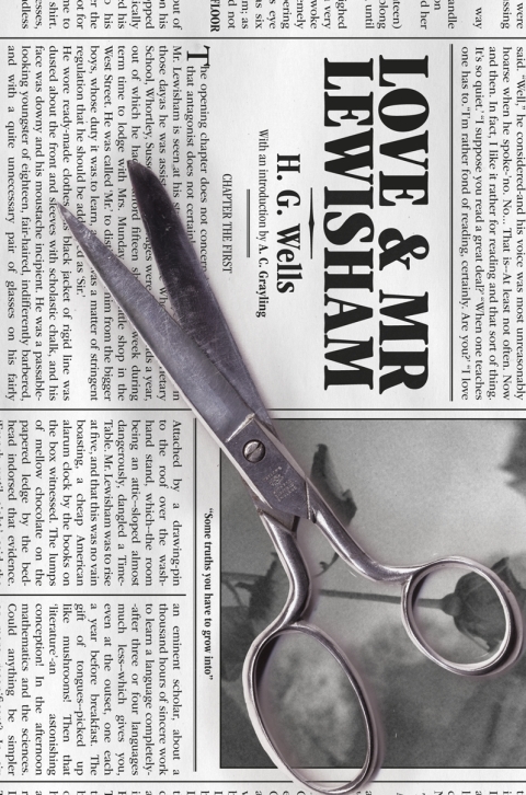 Cover image for book Love And Mr Lewisham