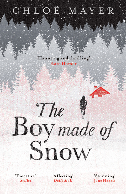 Cover image for book The Boy Made of Snow