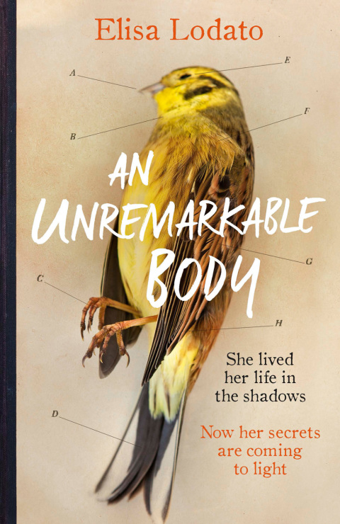 Cover image for book An Unremarkable Body