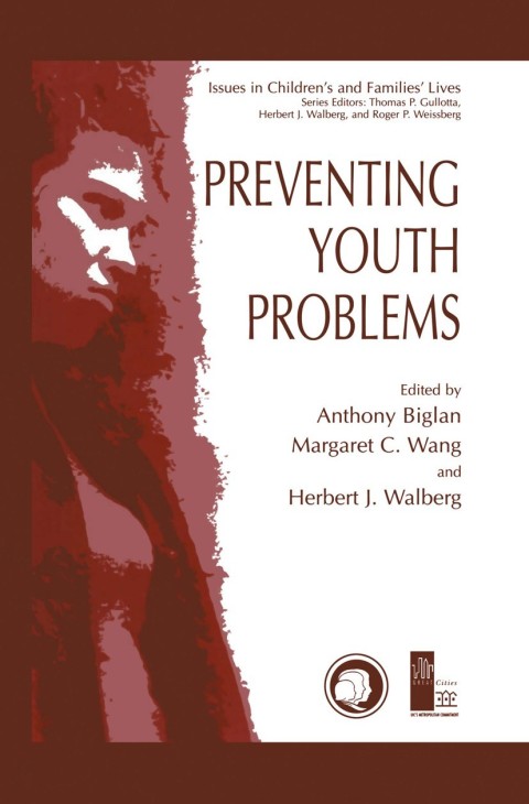 Cover image for book Preventing Youth Problems